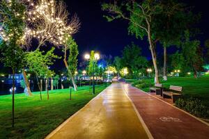 stad natt parkera i tidigt sommar eller vår med trottoar, lyktor, ung grön gräsmatta och träd. foto