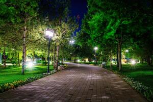 stad natt parkera i tidigt sommar eller vår med trottoar, lyktor, ung grön gräsmatta och träd. foto