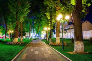 stad natt parkera i tidigt sommar eller vår med trottoar, lyktor, ung grön gräsmatta och träd. foto