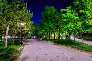 stad natt parkera i tidigt sommar eller vår med trottoar, lyktor, ung grön gräsmatta och träd. foto