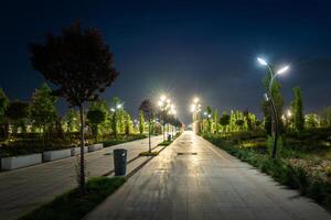 stad natt parkera i tidigt sommar eller vår med trottoar, lyktor, ung grön gräsmatta och träd. foto