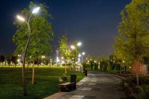 stad natt parkera i tidigt sommar eller vår med trottoar, lyktor, ung grön gräsmatta och träd. foto