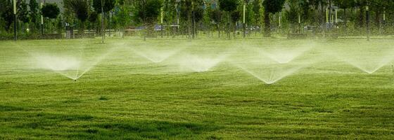 automatisk gräsmatta vattning systemet vattning de ung grön gräsmatta gräs i de parkera. foto