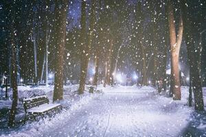 snöfall i en vinter- parkera på natt med lysande lyktor, trottoar täckt med snö och träd. årgång filma estetisk. foto