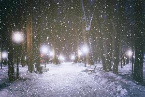 snöfall i en vinter- parkera på natt med lysande lyktor, trottoar täckt med snö och träd. årgång filma estetisk. foto