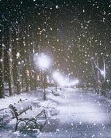 snöfall i en vinter- parkera på natt med lysande lyktor, trottoar täckt med snö och träd. årgång filma estetisk. foto