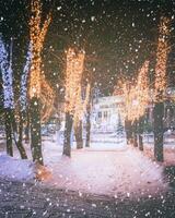 snöfall i en vinter- parkera på natt med dekorationer, lysande lyktor, trottoar täckt med snö och träd. årgång filma estetisk. foto