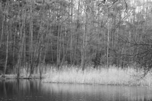 natur bakgrund Foto