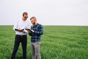 två jordbrukare stående i en vete fält och ser på läsplatta, de är granskning corp. ung stilig agronom. jordbruksnäringen begrepp. jordbruks ingenjör stående i en vete fält. foto