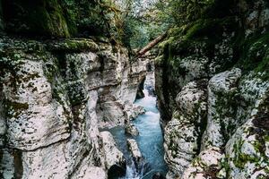 vit sten kanjon djungel och berg skog vandring, khosta flod längs klippor foto