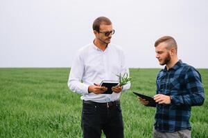 två jordbrukare stående i en grön vete fält och skaka händer foto