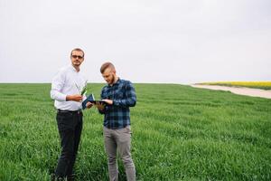 två jordbrukare stående i en vete fält och ser på läsplatta, de är granskning corp. ung stilig agronom. jordbruksnäringen begrepp. jordbruks ingenjör stående i en vete fält. foto