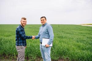 två jordbrukare stående i en grön vete fält och skaka händer. foto