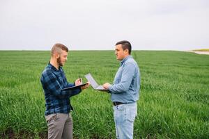 två jordbrukare stående i en vete fält och ser på bärbar dator, de är granskning corp. ung stilig agronom. jordbruksnäringen begrepp. jordbruks ingenjör stående i en vete fält. foto