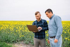 två jordbrukare stående i en våldta fält och ser på bärbar dator, de är granskning corp. ung stilig agronom. jordbruksnäringen begrepp. jordbruks ingenjör stående i en våldta fält. foto