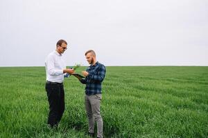 två jordbrukare stående i en vete fält och ser på läsplatta, de är granskning corp. ung stilig agronom. jordbruksnäringen begrepp. jordbruks ingenjör stående i en vete fält. foto