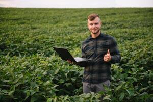 agronom inspekterande soja böna gröda växande i de bruka fält. lantbruk produktion begrepp. jordbruksnäringen begrepp. jordbruks ingenjör stående i en soja fält foto