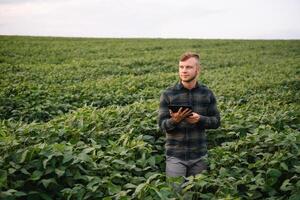 agronom inspekterande soja böna gröda växande i de bruka fält. lantbruk produktion begrepp. jordbruksnäringen begrepp. jordbruks ingenjör stående i en soja fält foto