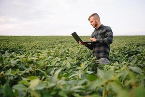 ung agronom innehar läsplatta Rör vaddera dator i de soja fält och granskning gröda innan skörd. jordbruksnäringen begrepp. jordbruks ingenjör stående i en soja fält med en läsplatta i sommar. foto