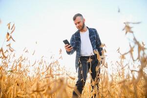 jordbrukare agronom i sojaböna fält kontroll gröda. organisk mat produktion och odling foto