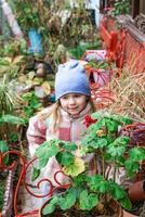 förtjusande liten flicka med blond hår leende nära en vibrerande blomma pott i de trädgård. foto