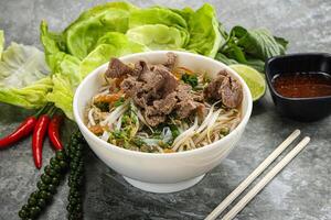 vietnamese traditionell soppa pho bo med nötkött foto