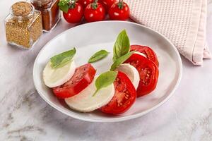 italiensk caprese sallad med mozzarella foto