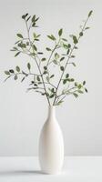 minimalistisk vas med eukalyptus grenar foto