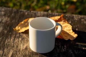 vit kaffe råna och torr blad med solljus foto
