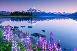 sjö omgiven förbi lila blommor med berg i bakgrund foto