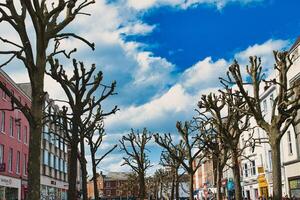 bladlösa träd linje en vibrerande urban gata med färgrik byggnader under en blå himmel med fluffig moln, skapande en skarp kontrast mellan natur och stad liv i york, norr yorkshire, england. foto
