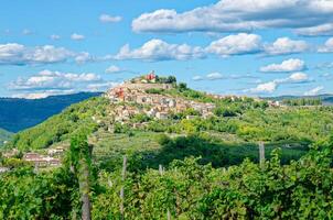 se av de charmig by motovun i istrien, kroatien. känd plats för lantlig turism i kroatien. foto