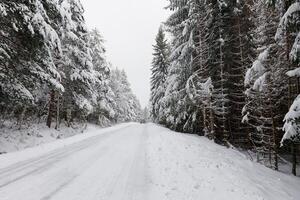 körning i de vinter. skog och träd full av snö. försiktig körning i vinter- betingelser. foto