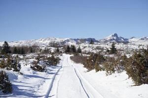 körning i de vinter, vägar med snö. försiktighetsåtgärder medan körning. grov väder. berg vägar. frysta och hal vägar. försiktig resa i de vinter- säsong. foto