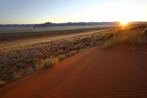 kalahari soluppgång i namibia foto