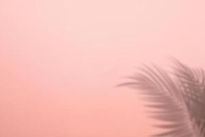tropisk skuggor, handflatan löv silhouetted mot rosa vägg bakgrund. foto