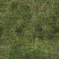 mångsidig gräs textur sömlös material Karta, perfekt för material, bakgrunder, och kommersiell använda sig av. foto