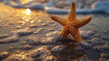 sjöstjärna på sandig strand foto