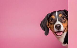 hund, kärlek din sällskapsdjur dag, baner, hälsning kort, social media, rosa bakgrund foto