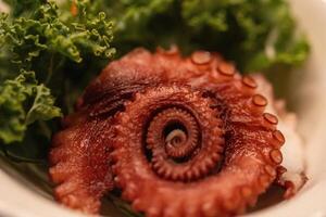 spiral bläckfisk sashimi foto