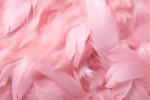 skön fjäder mönster tapet, drömmande fjäder abstrakt bakgrund, rosa fjädrar tapet, ljus rosa fågel fjädrar mönster, foto
