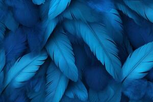 blå fjädrar bakgrund, blå fjädrar mönster, fjädrar bakgrund, fjädrar tapet, fågel fjädrar mönster, foto