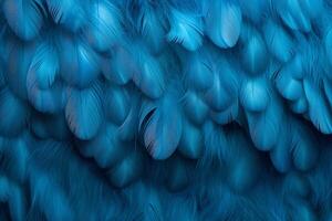 blå fjädrar bakgrund, blå fjädrar mönster, fjädrar bakgrund, fjädrar tapet, fågel fjädrar mönster, foto