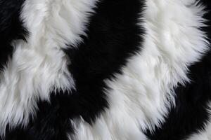 panda hud päls textur, panda päls bakgrund, fluffig panda hud päls textur, djur- hud päls textur, päls bakgrund, vit päls textur, foto