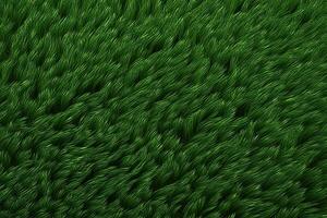 grön gräs textur, gräs bakgrund, gräs textur tapet, topp se grön gräs textur, foto