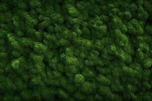 grön mossa textur, mossa bakgrund, mossa textur tapet, topp se grön mossa textur, foto