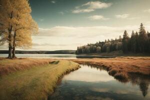 en flod i de skog med träd och dimma foto