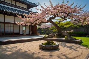 sakura bonsai träd i en pott på de jord foto