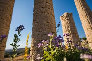 de kolonner av de tempel av Rhea i jerusalem foto