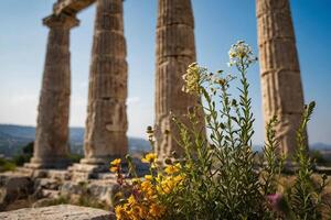de kolonner av de tempel av Rhea i jerusalem foto